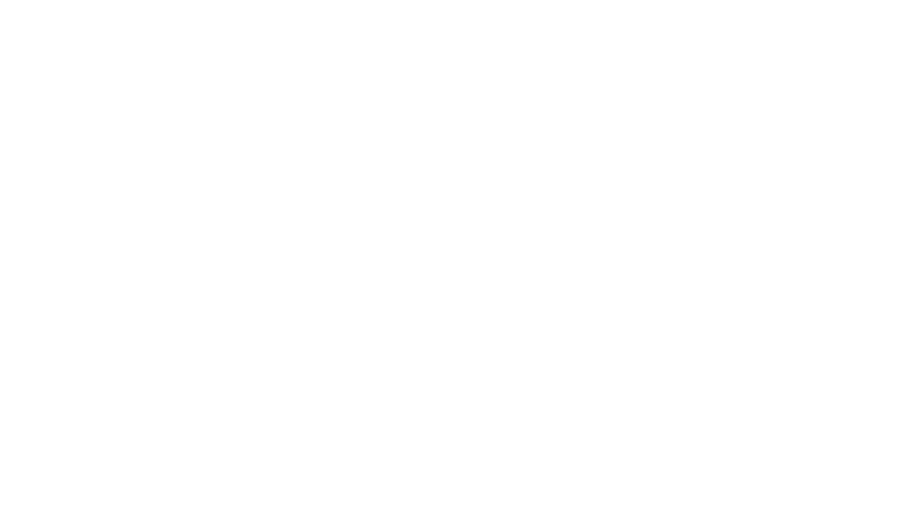 Weißes Firmenlogo auf grünem Hintergrund: geometrisches achteckiges Symbol mit stilisierter Berg- und Diamantform, darunter der fette Schriftzug METALLVERARBEITUNG und in dünneren Großbuchstaben SCHOLAND.